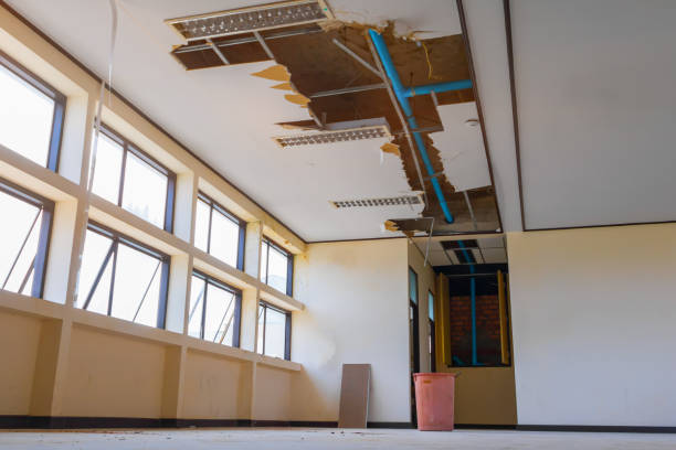 Best Professional water damage repair  in Stanford, CA