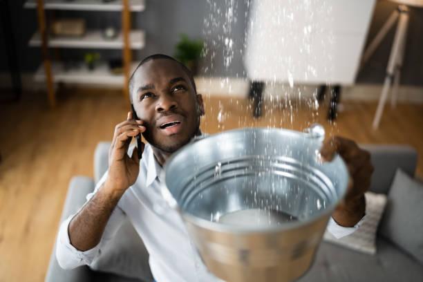 Best Water damage restoration mold remediation  in Stanford, CA