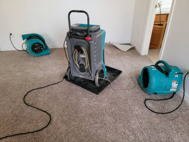 Best Water damage restoration near me  in Stanford, CA