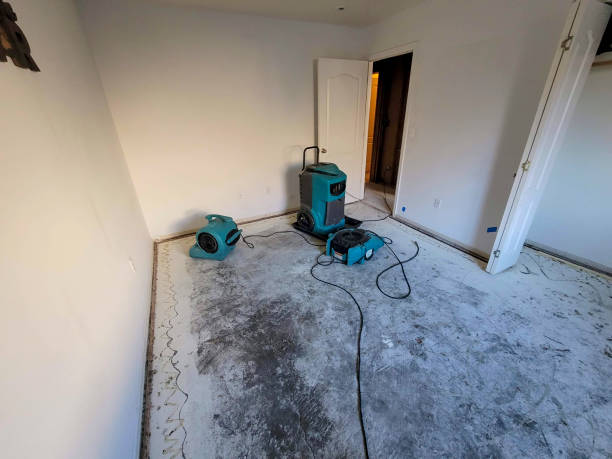Best Commercial water damage restoration  in Stanford, CA