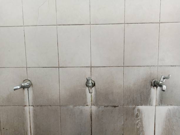 Best Water damage cleanup near me  in Stanford, CA