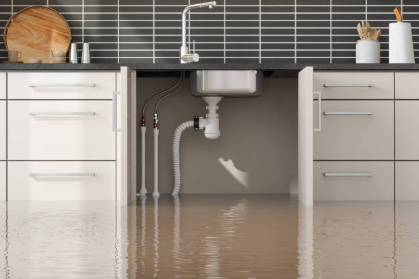 Best Flooded house restoration  in Stanford, CA